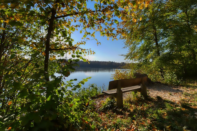 可思议的冲 可思议的冲