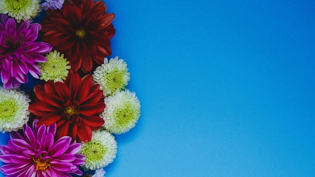 样的技巧 样的技巧