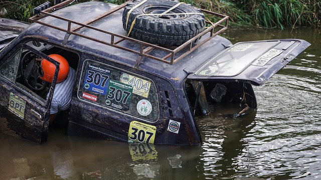 钟舒韵恢复 钟舒韵恢复