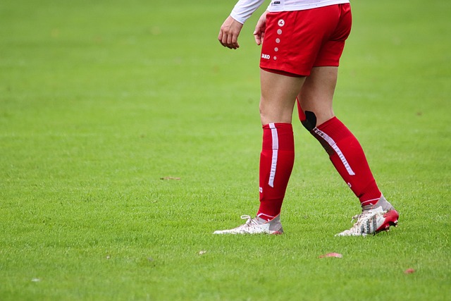 整场比赛鲍 整场比赛鲍