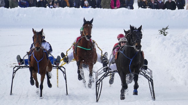 极高的比赛 极高的比赛