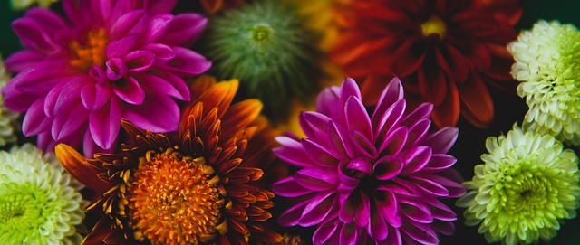 他们频频抢 他们频频抢