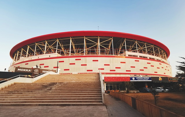 這些例子展 這些例子展