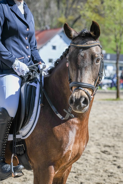 成为焦点 成为焦点