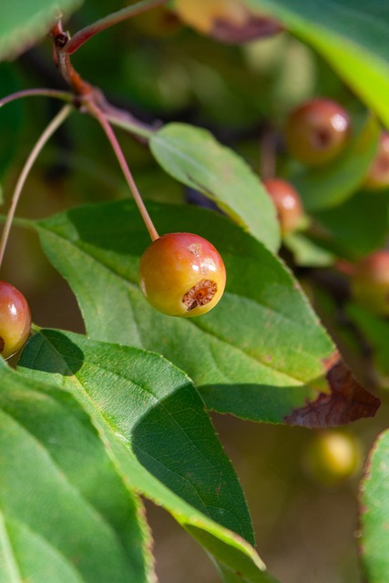这是他能否 这是他能否